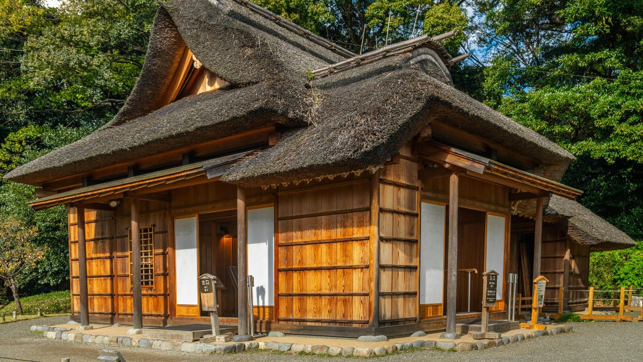 Sapele Wood vs Red Balau