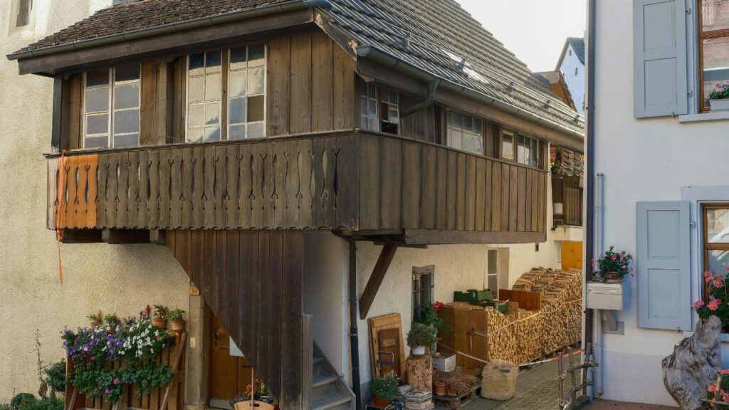 Understanding Sapele and Red Balau – The Basics