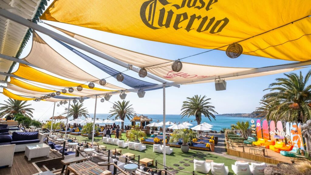 Environmental Benefits and Sustainability