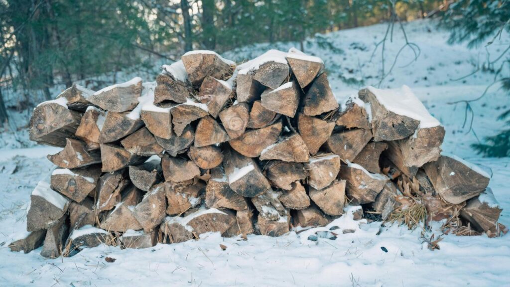 The Cost of Premium Kiln Dried Firewood