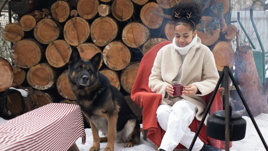 Comparing the Value Quard of Wood and Ricks