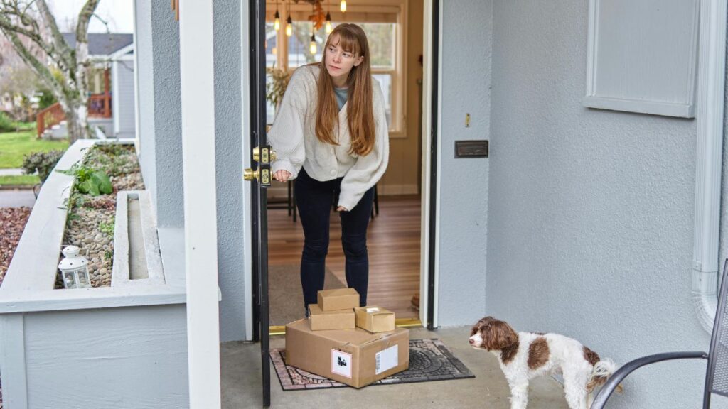 Transform Your Entryway with Sassafras Switch Mat Options