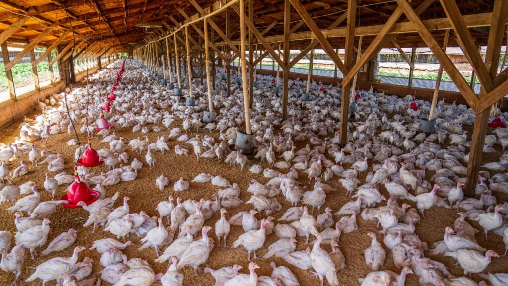 Smart Layout Planning for Maximum Functionality