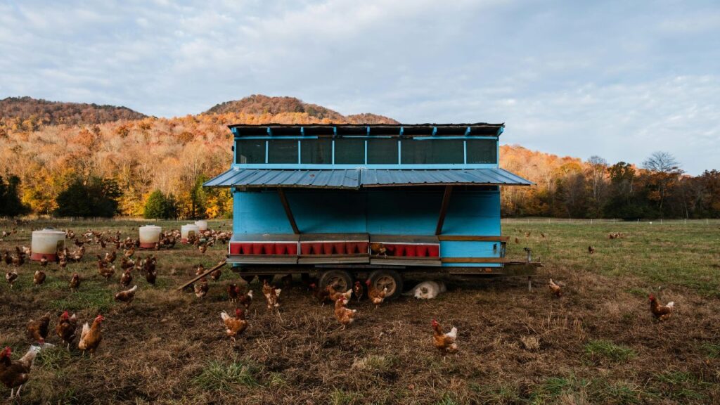 Security Features and Predator Protection