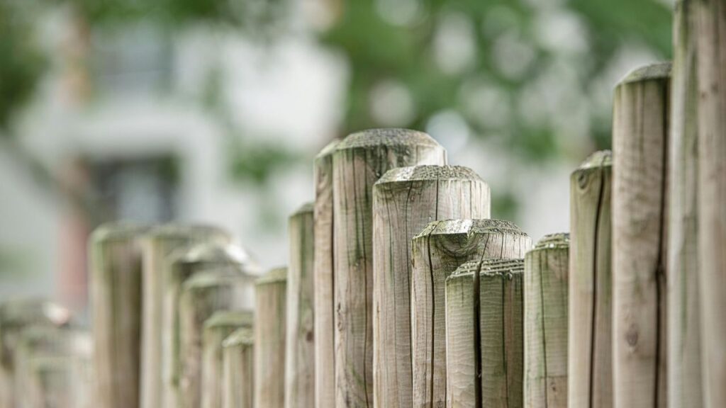 Navigating Regulations, Permits, and Neighbor Considerations