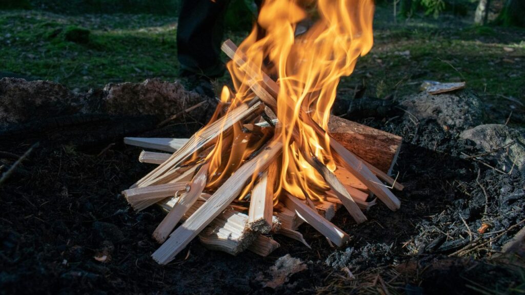 5. Landscaping That Complements a Death Star Fire Pit