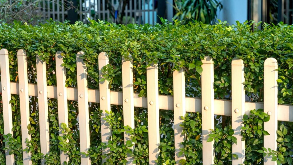 Maintenance Requirements and Long-Term Care