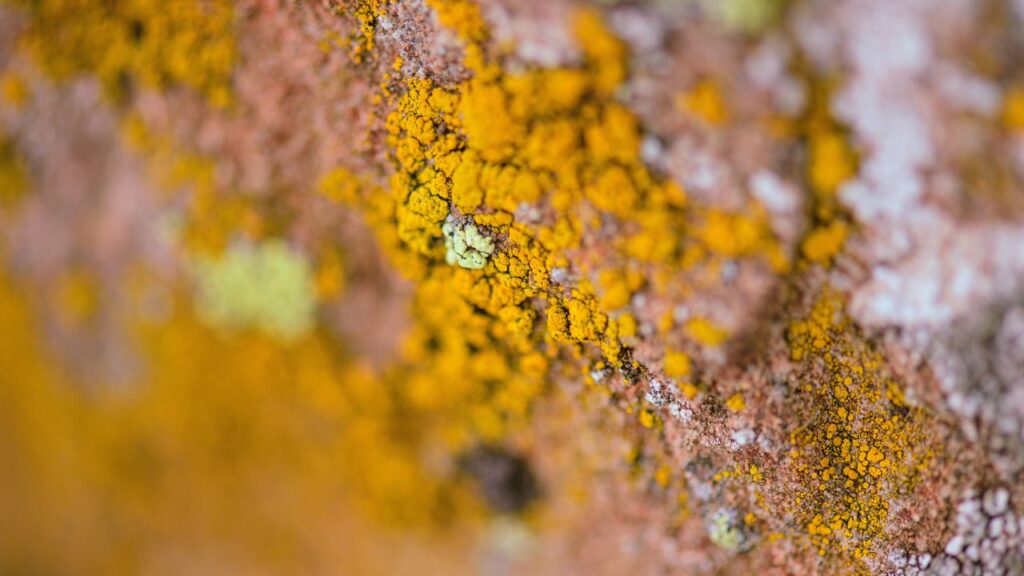 Safety First: What to Do Before You Start