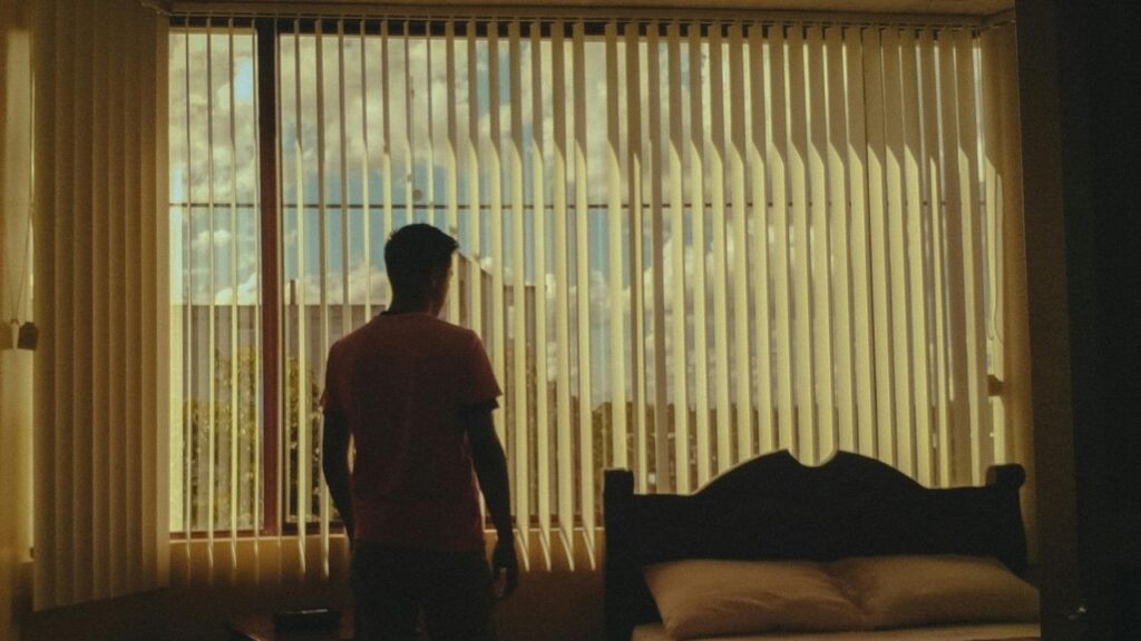 2. Faux Wood and Real Wood Blinds