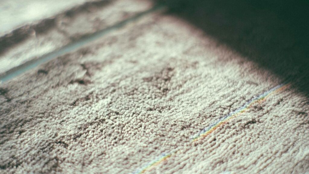 What Makes Nylon Stand Out as a Flooring Material