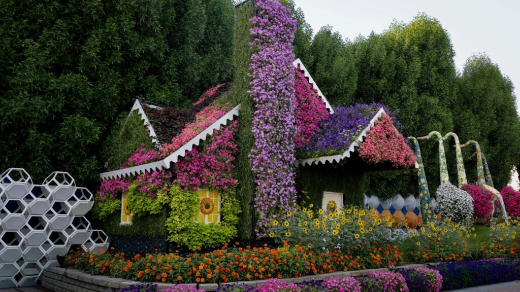 Flowers for Your Backyard: Ideas That Actually Work