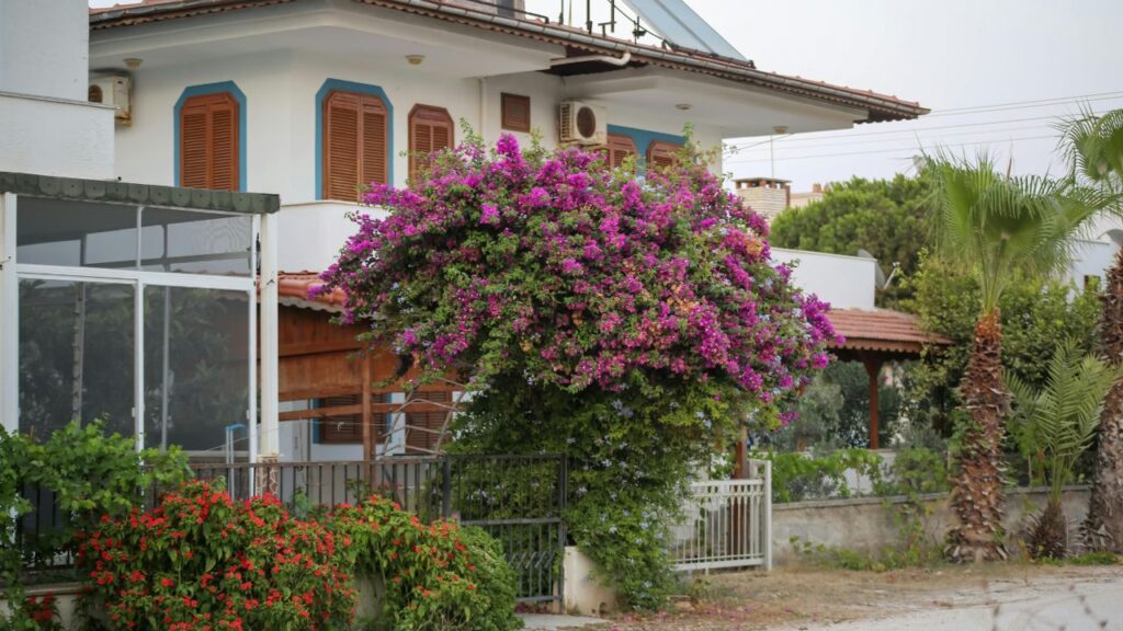 Simple Tips to Maintain Indoor Flowers Longer