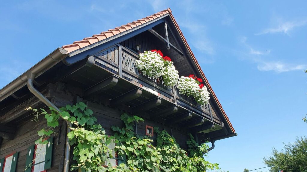 Balcony Flower Ideas for Small but Stunning Spaces