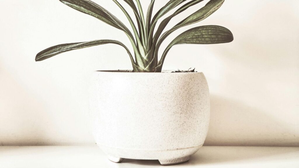 Top 5 Brands at a Glance: