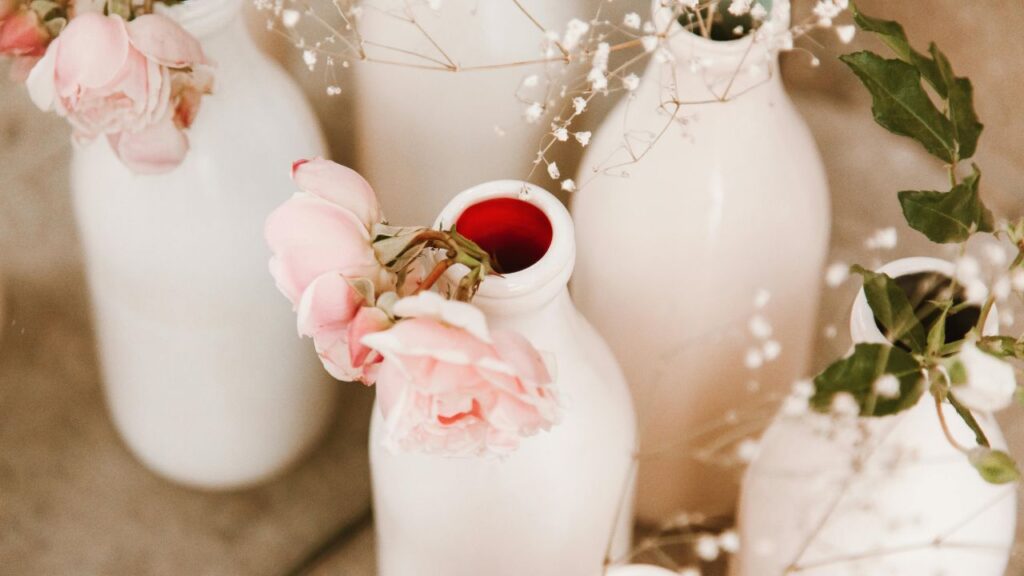 A Brief History Worth Knowing: