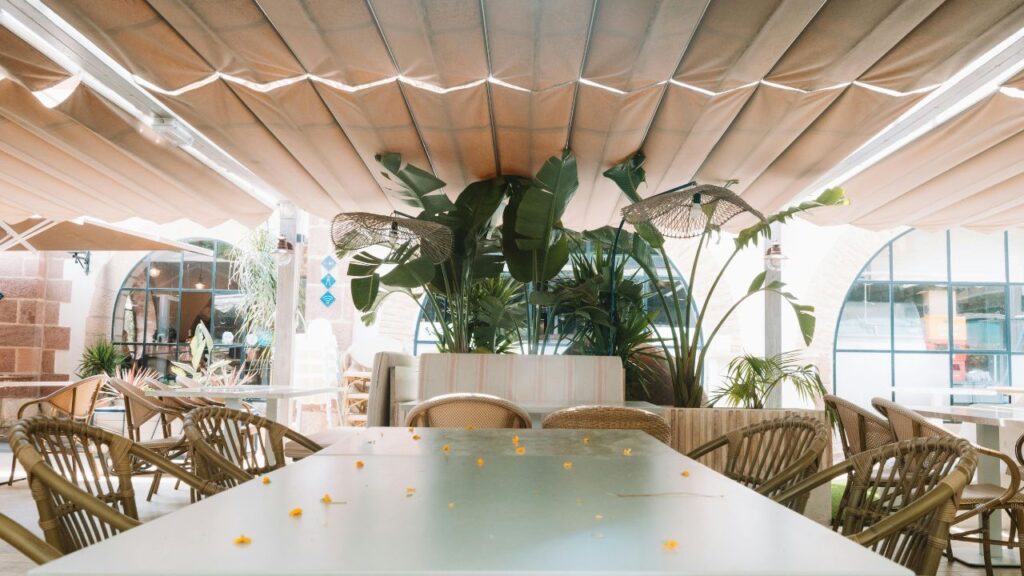 Home Decor & Outdoor Aesthetics