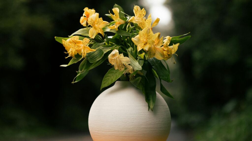 Care Tips for Longer-Lasting Blooms