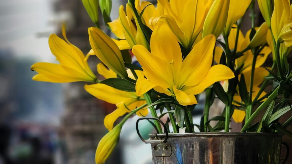 Color Combinations That Elevate Your Space