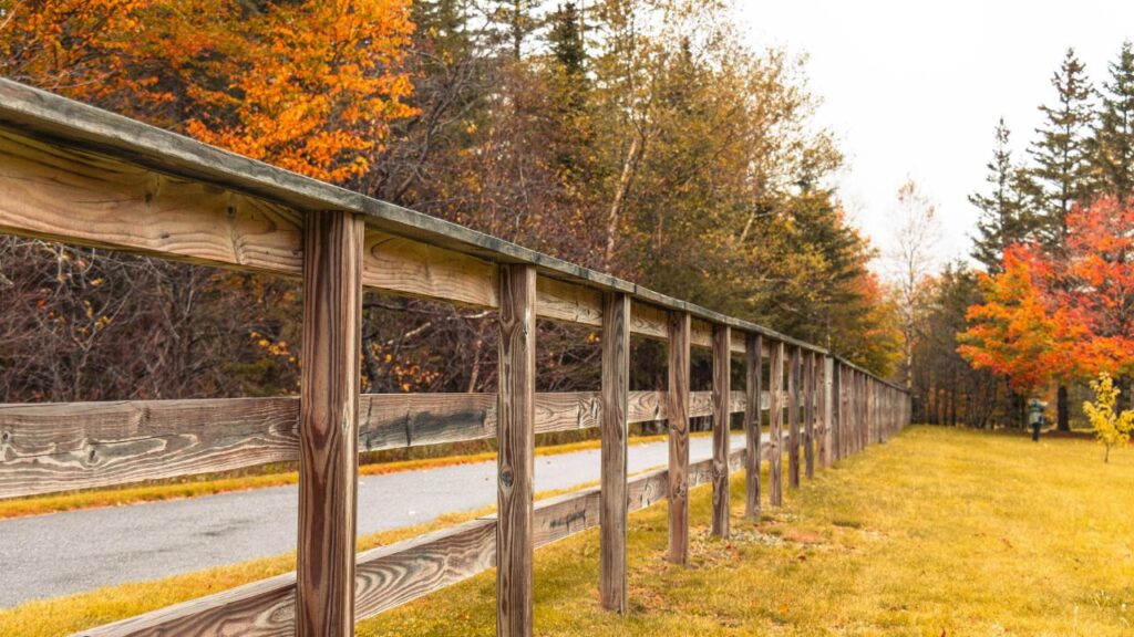 Ranch Fence Ideas for Livestock, Horses, and Large Properties