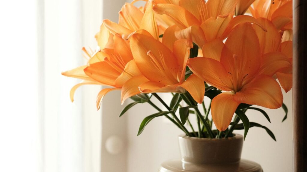 Room-by-Room Styling Guide