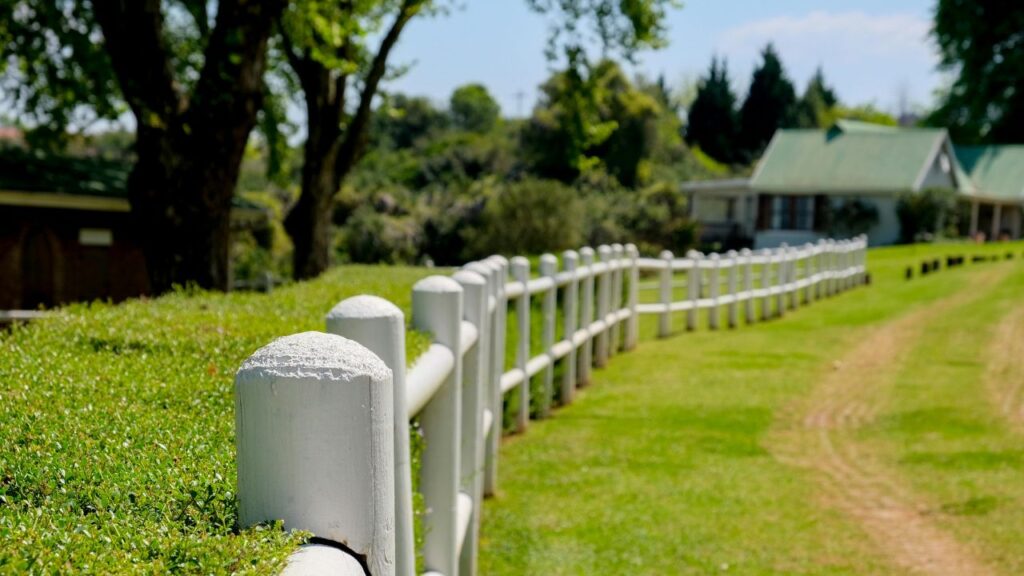 Maintenance Tips to Keep Your Ranch Fencing in Top Shape