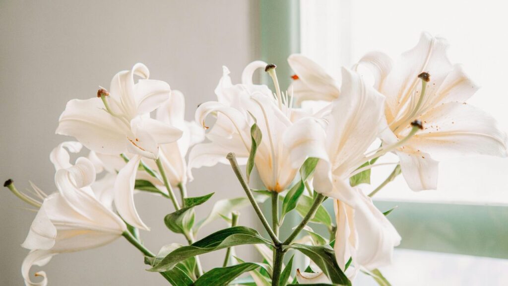 Top Providers for Tiger Lily Bouquets